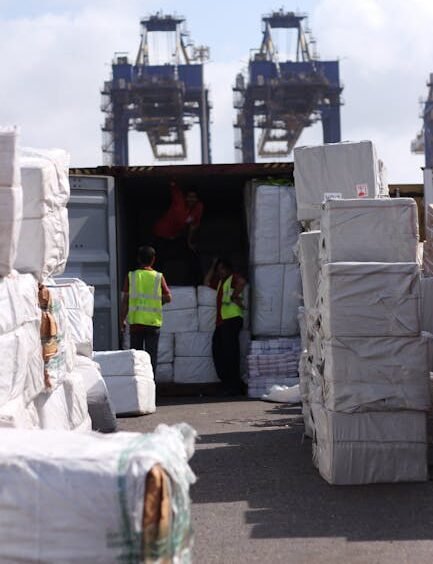 Dock workers loading cargo at Karachi Port with visible cranes and containers.